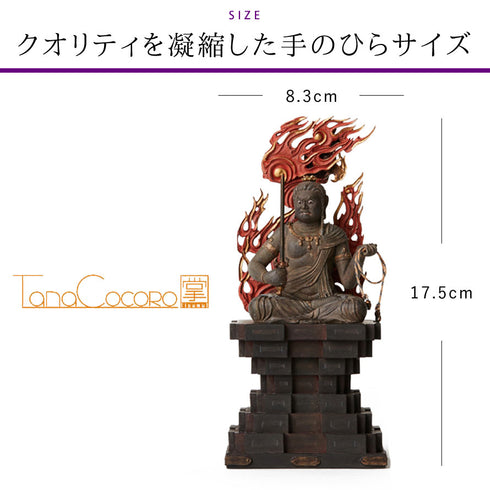 イスム TanaCOCORO 不動明王.|s7
